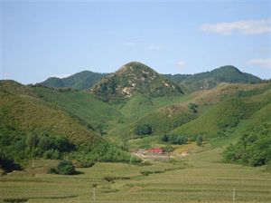 风水中“倒杖”