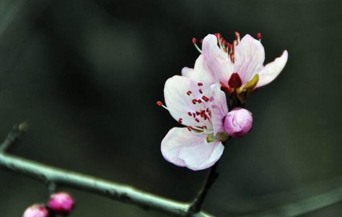 QQ截图20170623104419 QQ截图20170623104419