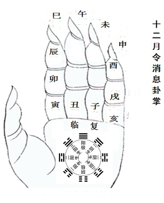 timg-(4)