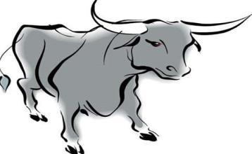 2016生肖牛的运势详解