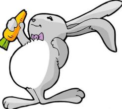 上半年差强人意，下半年成功逆袭的生肖！3