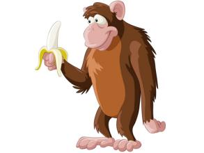 十二生肖相生相克