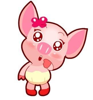 属猪人的每月运势