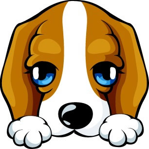 属狗人的每月运势