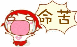 揭秘十二生肖中何时最苦