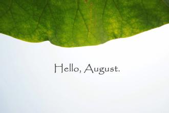 2016年8月十二生肖运势详解