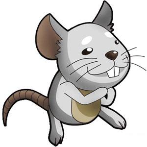 属鼠人适合养的宠物