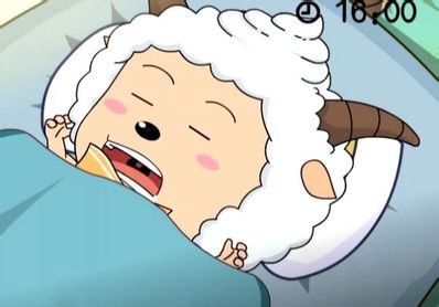 十二生肖适合养的宠物