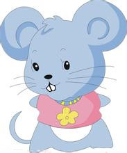 八月份，十二生肖运势强弱排行榜！