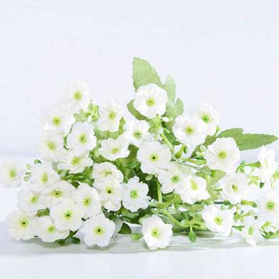 属龙人的开运植物