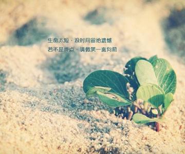 属鸡人有什么魅力