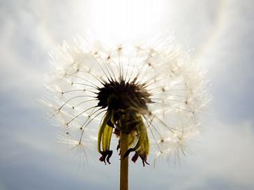 属马人有什么魅力