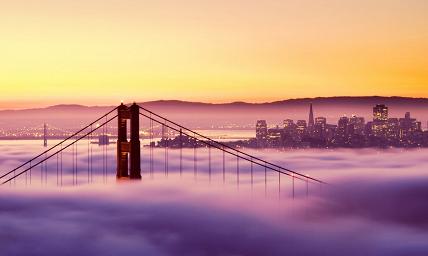 属兔人有什么魅力