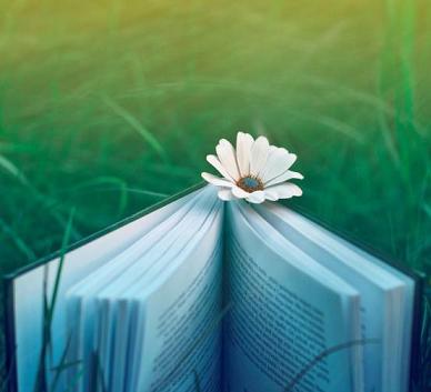 属鼠人有什么魅力