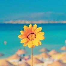 天降横财的生肖