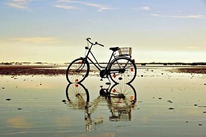 属龙人有什么魅力