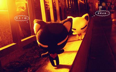 十二生肖适合生啥属相的宝宝