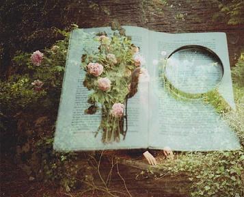 十二生肖中谁的运气最好