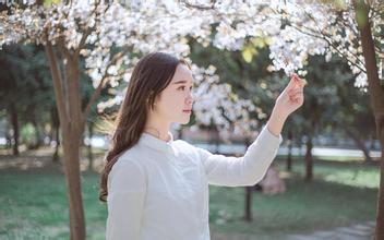 生肖智商排行榜