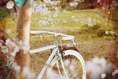 属狗人对于爱情的认知