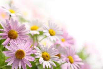 与鼠有关的民俗