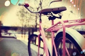 属猪人对于爱情的认知