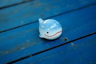 属鸡人对于爱情的认知