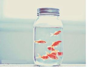 属龙人对于爱情的认知