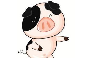 属猪什么时辰出生最好