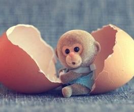 属猴什么时辰出生最好