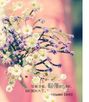 属兔人向往什么样的生活方式