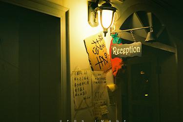 属马人向往什么样的生活方式