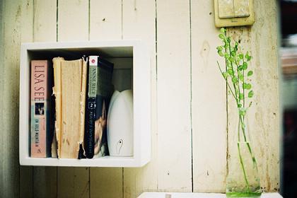 属狗人向往什么样的生活方式