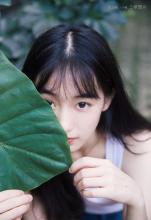 十二生肖的价值