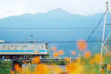 属猴人向往什么样的生活方式