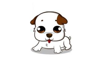 属狗人什么时辰出生最好