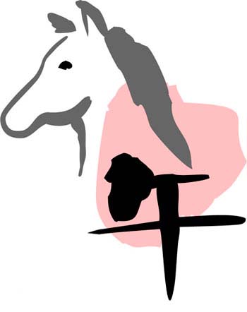 从出生月份看你的命运