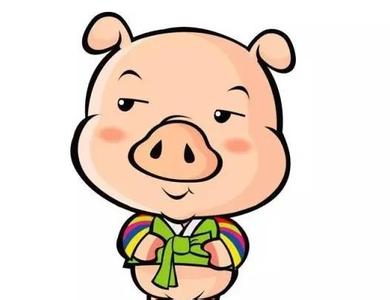 2016属猪人的财运