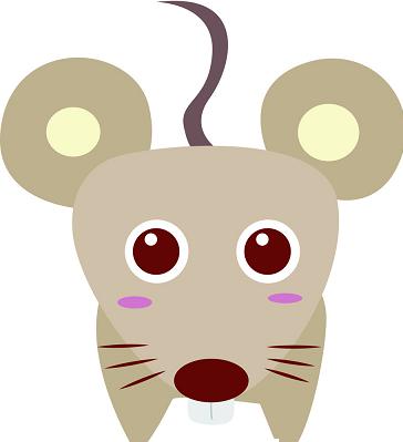 生肖鼠五行鼠什么