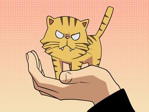 十二生肖虎的象征意义