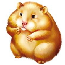 十二生肖鼠的象征意义