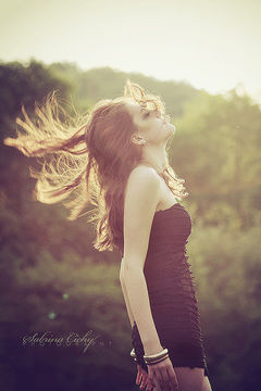 2016年属狗人的财运