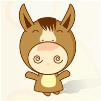 生肖马面对艳遇的态度