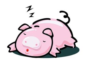 生肖猪面对艳遇的态度