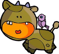 生肖牛面对艳遇的态度