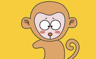 生肖猴面对艳遇的态度