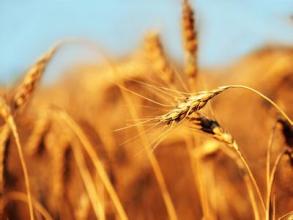 比女人还像男人