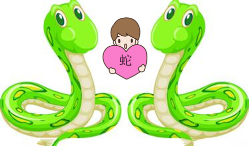 属蛇人最留恋校园什么