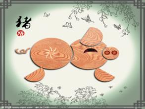 亥猪是什么意思