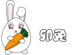 辛卯兔是什么意思